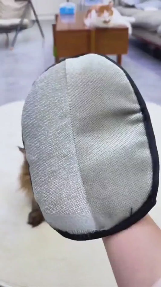 Guante Quitapelos Reutilizable para Mascotas